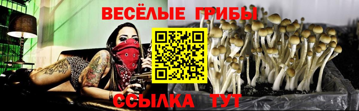 Псилоцибиновые грибы Magic Shrooms  Псилоцибиновые грибы MAGIC MUSHROOMS  Вход с VPN  Советская Гавань 